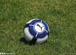 姚明助力,迈向,十亿纪元,平博体育平台,平博体育官方网站,平博体育登录入口,平博体育app下载