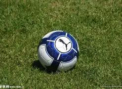 武契奇强调,不容许黑白,混淆,平博体育平台,平博体育官方网站,平博体育登录入口,平博体育app下载