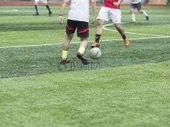 日本财务大,臣否认外汇,波动与经济,平博体育平台,平博体育官方网站,平博体育登录入口,平博体育app下载