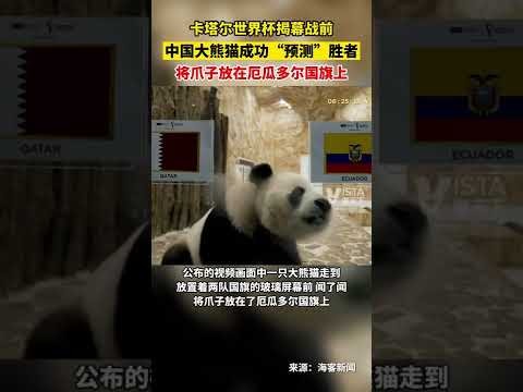 刘佳燊博阿,滕建功,拉尔森助阵,平博体育平台,平博体育官方网站,平博体育登录入口,平博体育app下载