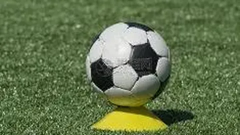 平博体育 产品 092831 887