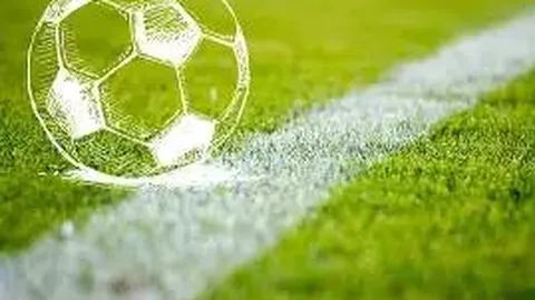 平博体育 资讯 104414 wf2