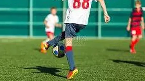 平博体育 资讯 104421 lui