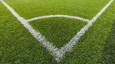 平博体育 资讯 104242 lfa